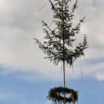 Tradiční kácení máje 2016