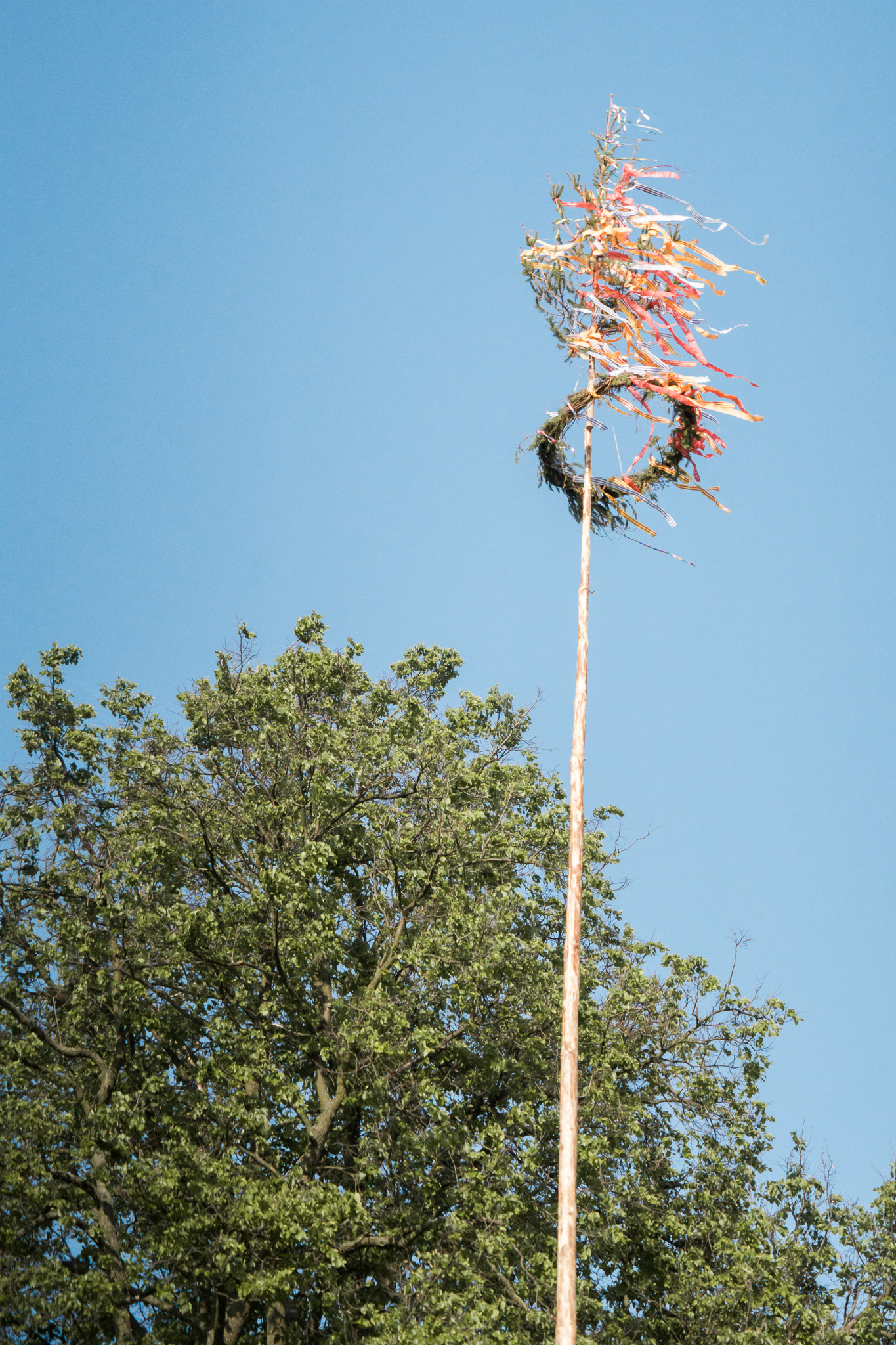 Tradiční kácení máje 2024