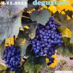 Zámecká degustace vín