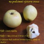 Štěpán Brablec – výstava jablek 2016