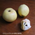 Štěpán Brablec: „Výstava jablíček“