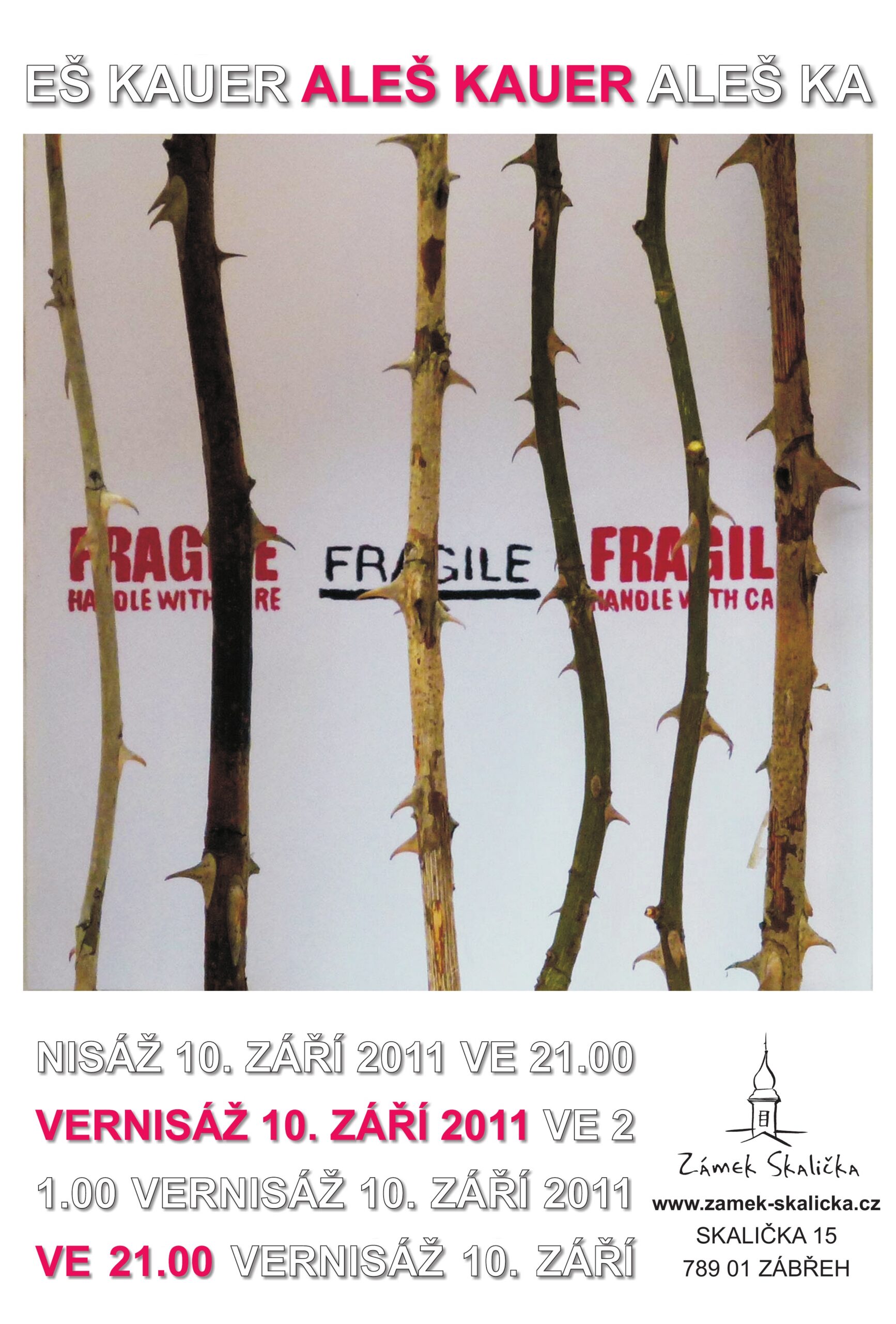 Aleš Kauer: „FRAGILE“ — výstava pro Lily