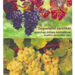 Zámecké vinobraní s Janem Hedrichem (2. pokračování)